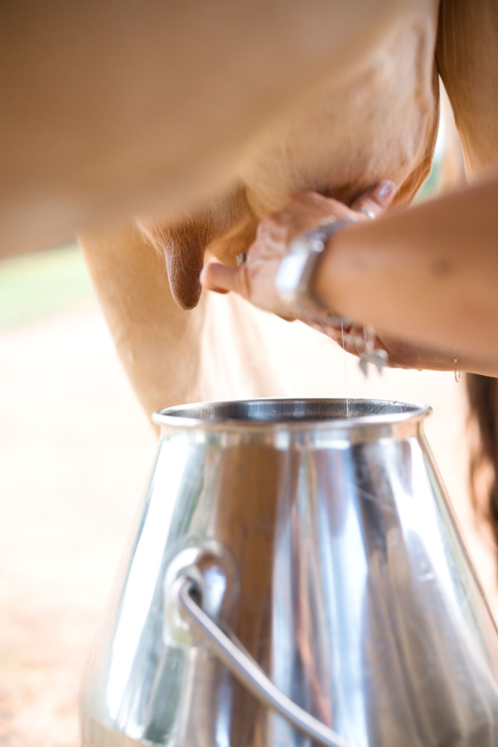 The Simple Share Monthly Fee